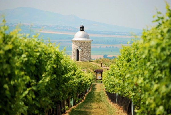 Winna Sobota | Wielkie Morawy - Wielkie Wina